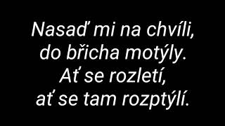 Mandrage - Motýli (text) Mandrage - Motýli (text)