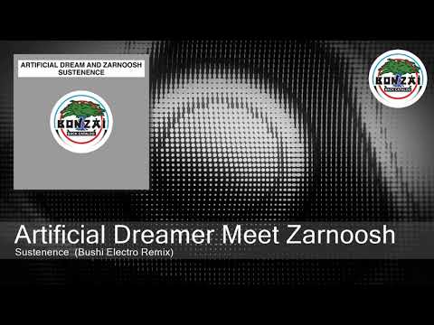 Artificial Dreamer Meet Zarnoosh - Sustenence  (Bushi Electro Remix)