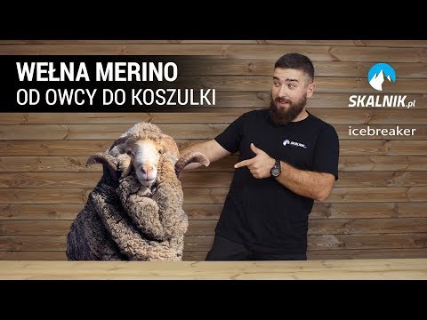 , title : 'Wełna merino - zalety i wady - skalnik.pl'