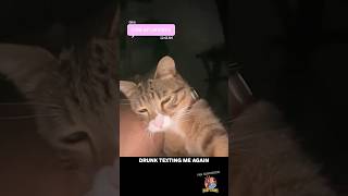 Drunk Cat Texting 🍻📱