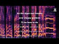 Jethro Tull - Home (Karaoke)