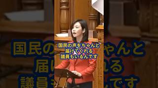 【国旗損壊罪】参政党の女神が日の丸の尊厳を守る！【梅村みずほ】