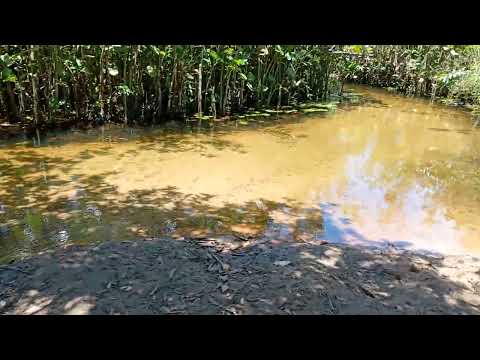 Rio do Angelim/vila flor Rio grande do Norte.