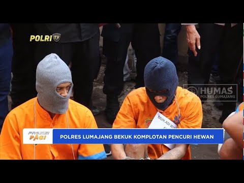 POLRES LUMAJANG BEKUK KOMPLOTAN PENCURIAN HEWAN