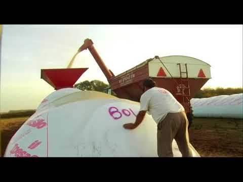 Institutional video