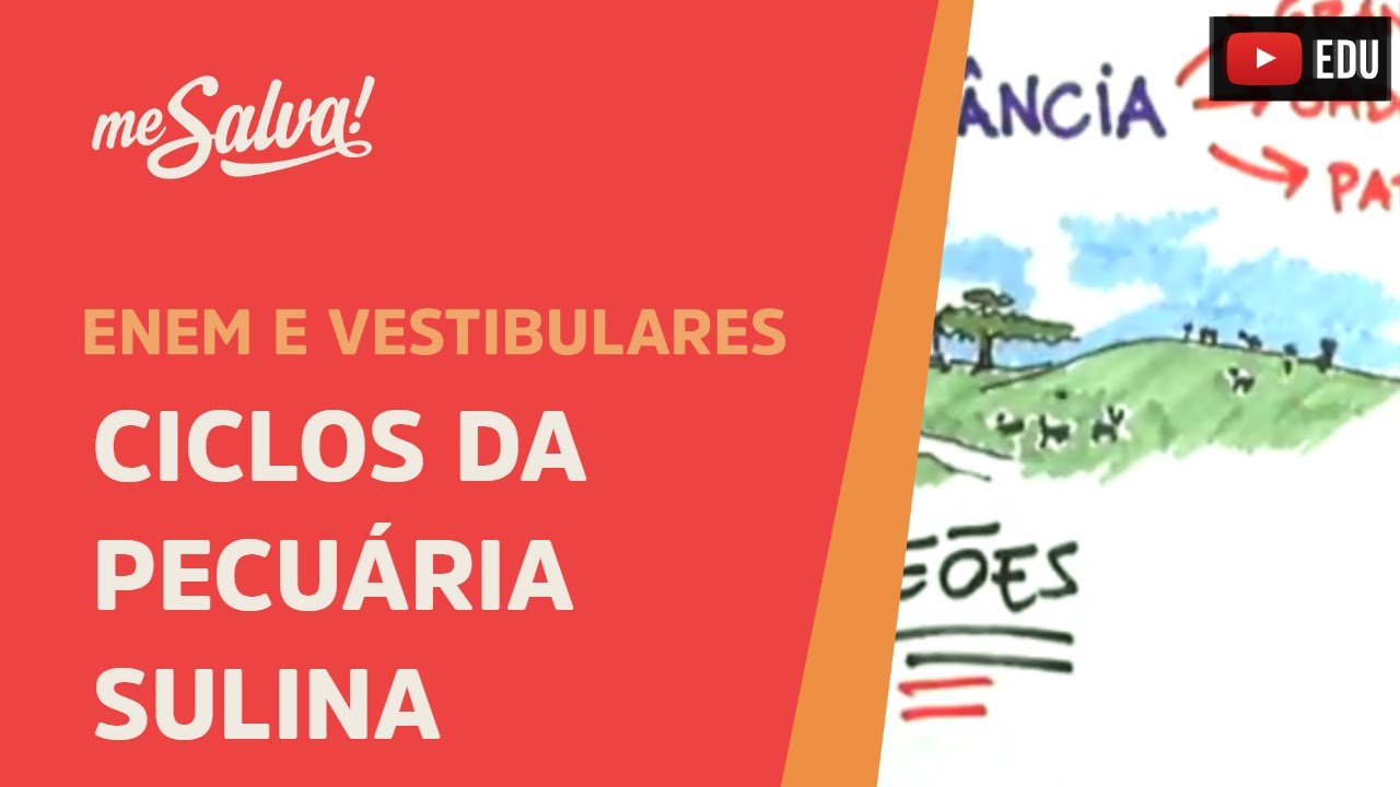 Ciclos da Pecuária Sulina - História UFRGS - Me Salva!