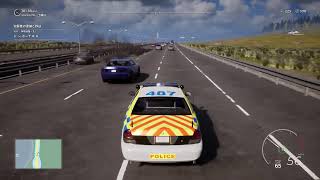[PS5]policeSimulatorやっていくーー