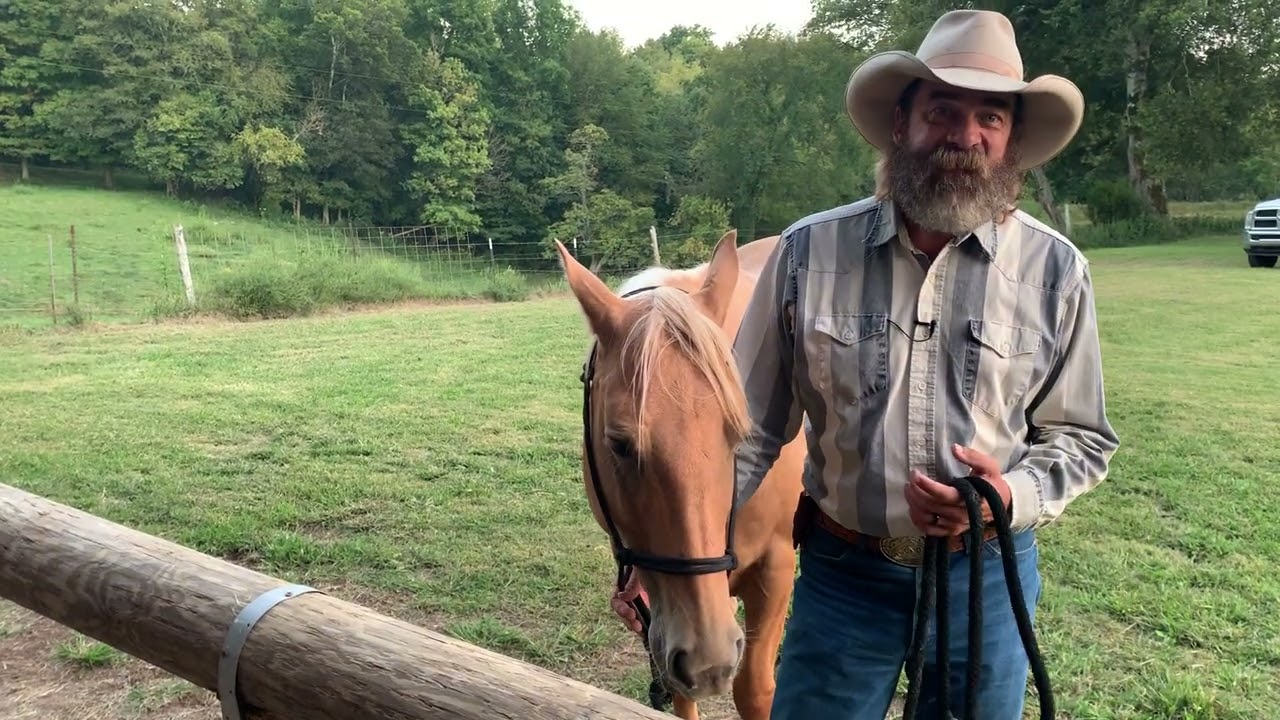 Remove the Bad and Add the Good