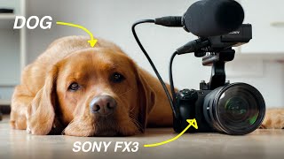 Shooting a Commercial Starring my Dog