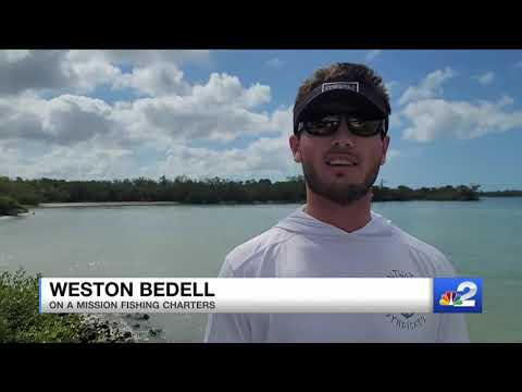 Holy fish! Dolphin tries stealing Naples fishermen's bait
