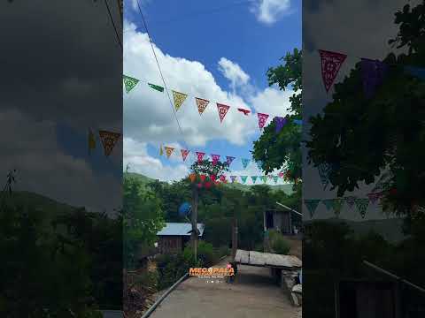 Fiesta patronal en honor a San Agustín #mecapala #tamazunchale #huastecapotosina