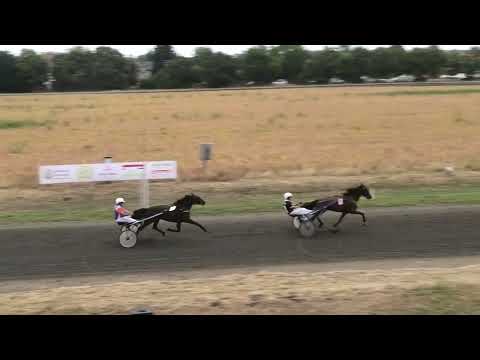 Trka "Memorijalna trka JOO ROBERT" 21.8.2022. Elliot - Petar Dulić