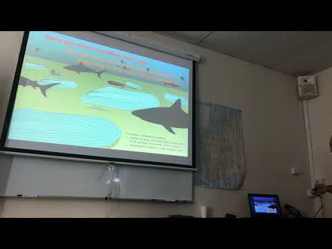 Eckart Håkansson - An exciting ‘island refuge’ fauna from the Maastrichtian of Western Australia