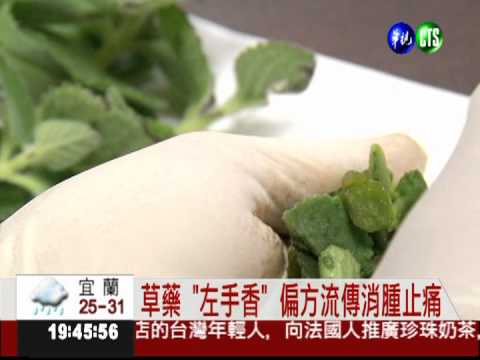 誤信偏方! "左手香"敷眼 染菌失明