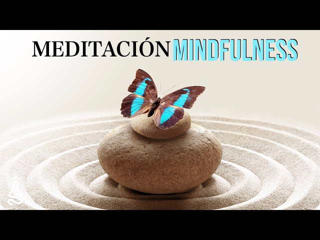 Vídeo relacionado con Eres el Eco de la eternidad Mindfulness Paz Interior Yoga Camiseta