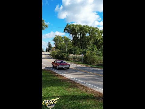 1967 Chevrolet Chevelle (CC-2021550) for sale in Volo, Illinois