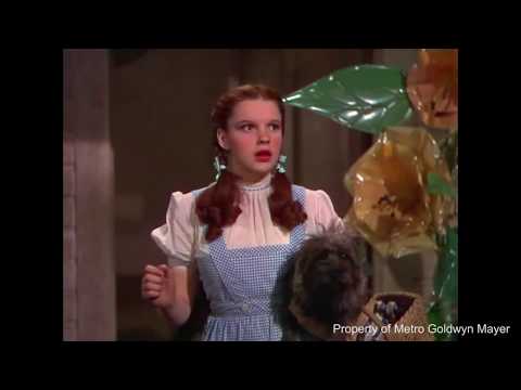 What's your first Oz memory? - ELIZABETH LETTS