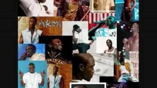 Akon- Shake Down