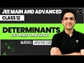 Determinants Class 12 JEE Main Advanced