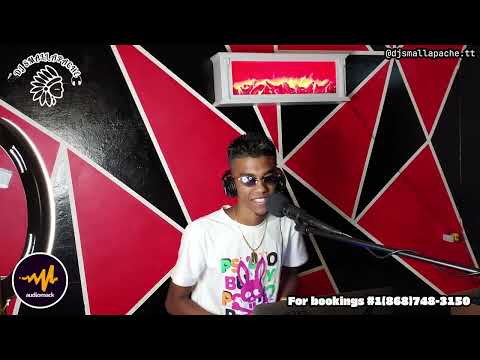 Slackness Vol. 2 (Dancehall-Old/New) | Dj Small Apache | Mixtape