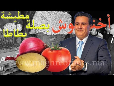 حكومة مطيشة وبطاطا غادية بالمغرب للحائط