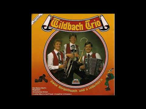 04.Wildbach Trio - Fanclub Polka