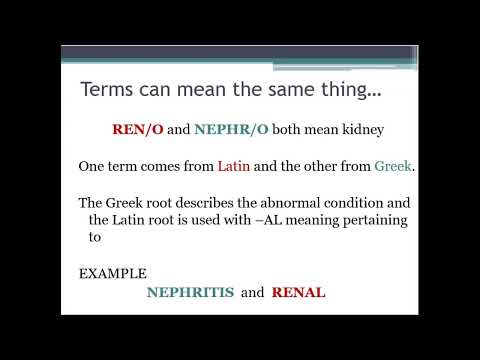 Medical Terminology-Basic Word Structure