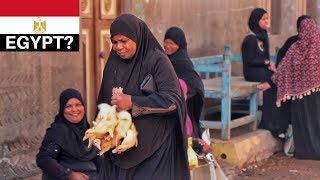 This the REAL EGYPT? 🇪🇬هو ده في مصر فعلاً؟