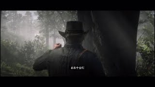 ＄500000の金の稼ぎ方 銀行強盗が簡単すぎる(レッドデッドリデンプション2)
