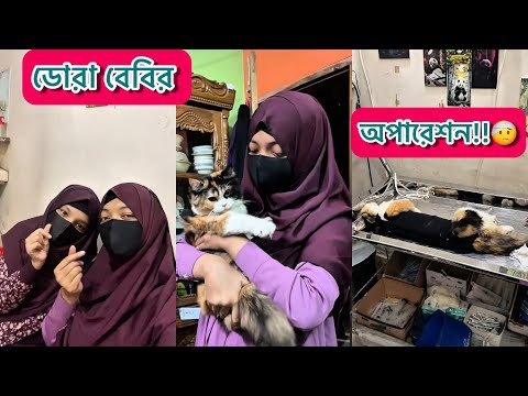 I took Dora Baby for surgery 🐈😷. Vlog. Nusrat jahan mohona.