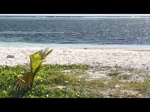 2mins of sight and sound ambience on Maafushi Island just as you were there!