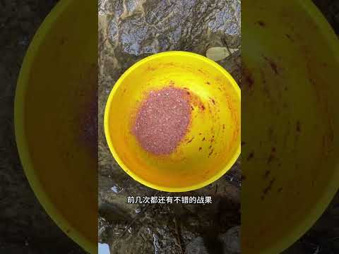 Exclusive Fishermen's Hideout Unveiled - Discover the Ultimate Getaway