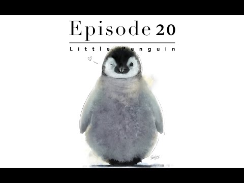 Episode 20 Little Penguin