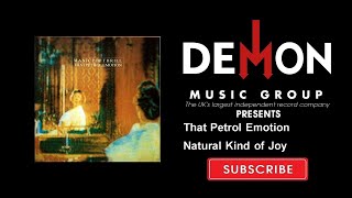 That Petrol Emotion - Natural Kind of Joy