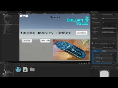 Vibration | Brilliant Sole Unity SDK