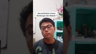 Download lagu Perbedaan Waduk dan Bendungan mp3