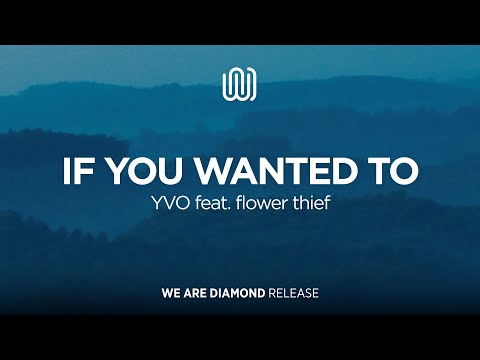 YVO - If You Wanted To (feat. flower thief)