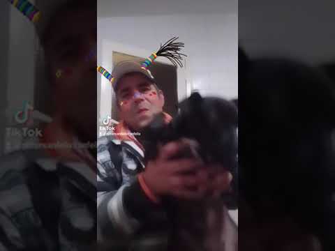 EL PAYASO DE LOS PERROS. ARROYO DE SAN SERVAN. CAMPANARIO. BADAJOZ. EXTREMADURA. ESPAÑA