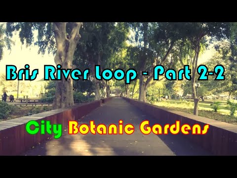 Brisbane River Loop //  Part 2 - 2 City Botanic Gardens