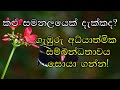 කළු සමනලුන් අධ්යාත්මික අර්ථය සහ විශ්ව සම්බන්ධතාවය පැහැදිලි කිරීමක් black butterfly meaning