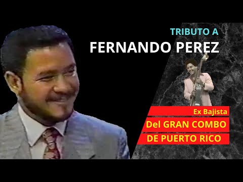 TRIBUTO A FERNANDO PEREZ, EX-BAJISTA DEL GRAN COMBO DE PUERTO RICO || BASS COVER FALSARIA