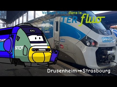 (VIDÉO SPÉCIALE) Voyage filmé en TER Fluo Drusenheim ➡️ Strasbourg
