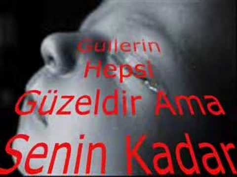 gülşen 2007 remix   adı bende saklı  armağan olsun ...