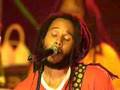 ziggy marley and melody makers what's true