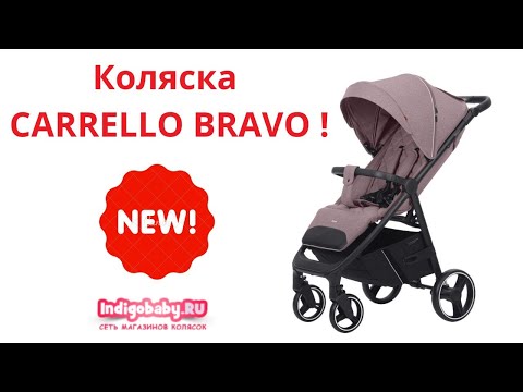 фото коляска прогулочная carrello bravo 0