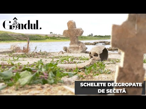 Schelete dezgropate de secetă, în Călărași (REPORTAJ)
