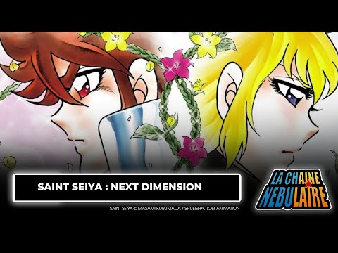 Saint Seiya Next Dimension (et BT'X)