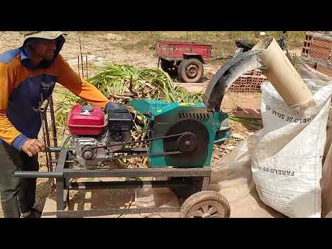 ENSILADEIRA COM MOTOR ESTACIONÁRIO A GASOLINA!