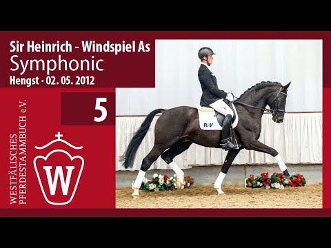 05 Symphonic  Hengst v. Sir Heinrich - Windspiel As