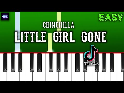 Little Girl Gone - Chinchilla